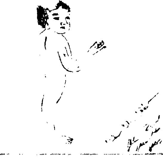 〔插图〕