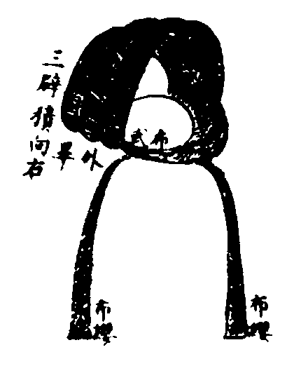 〔插图〕