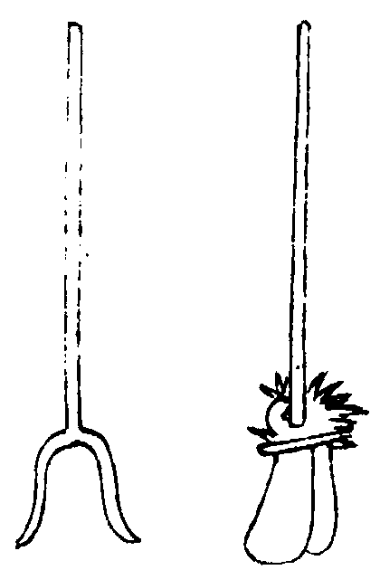 〔插图〕