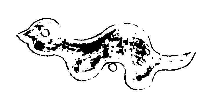 〔插图〕