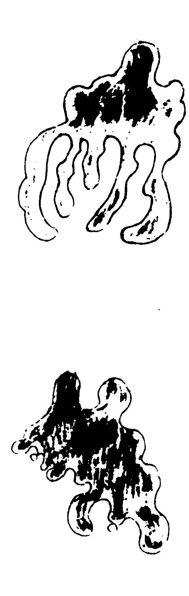 〔插图〕