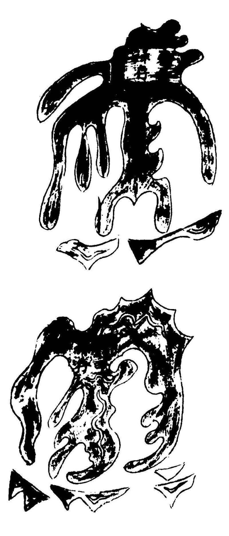 〔插图〕