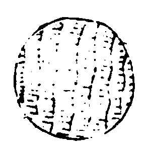 〔插图〕