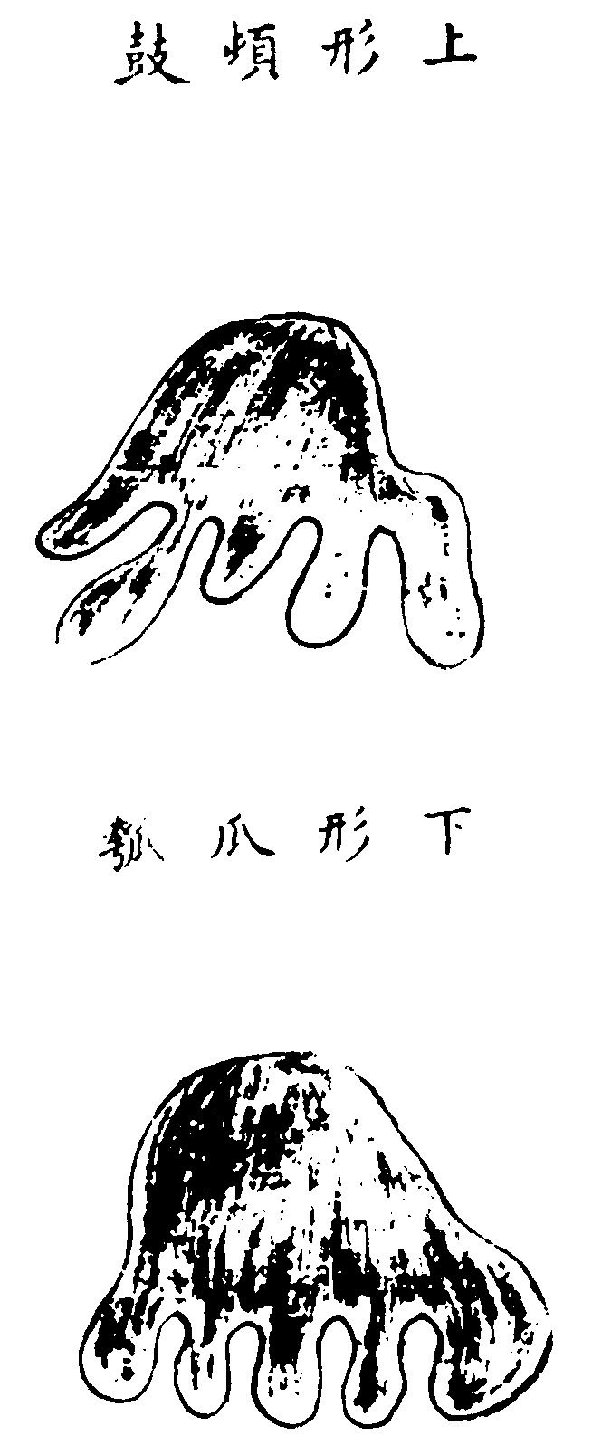 〔插图〕