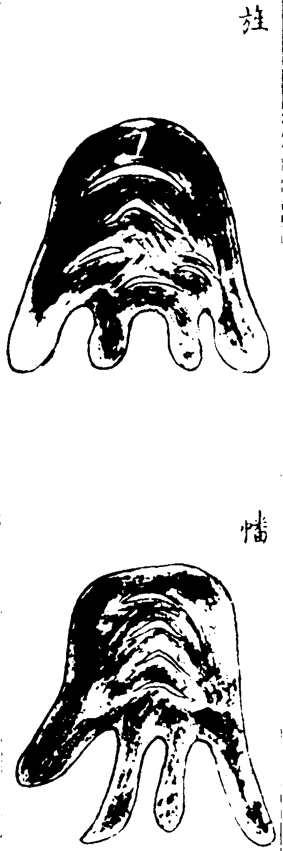 〔插图〕