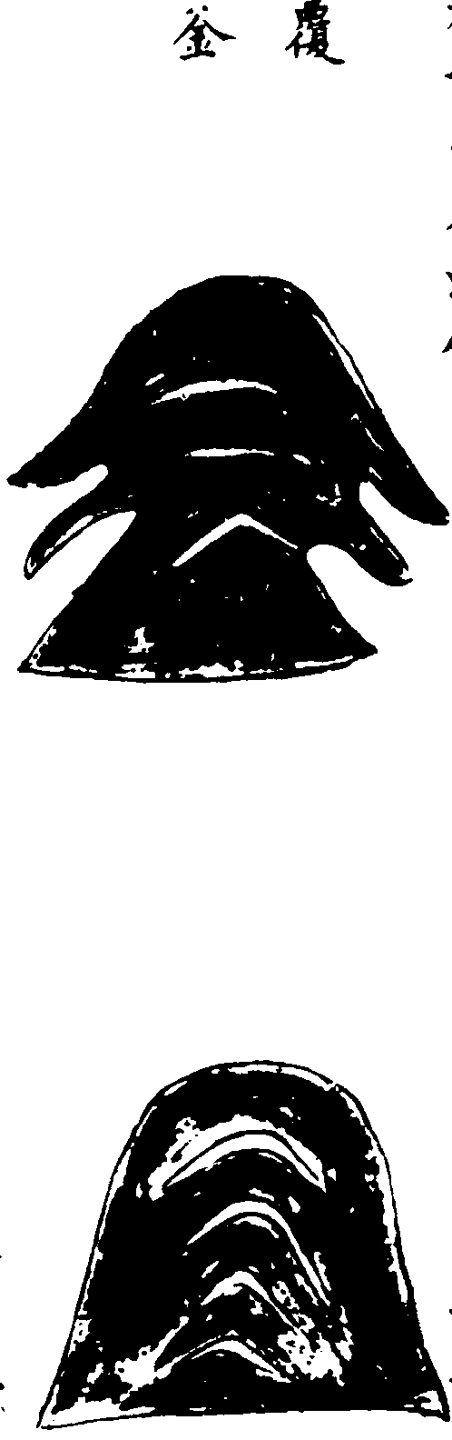 〔插图〕