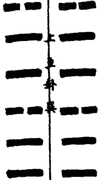 〔插图〕