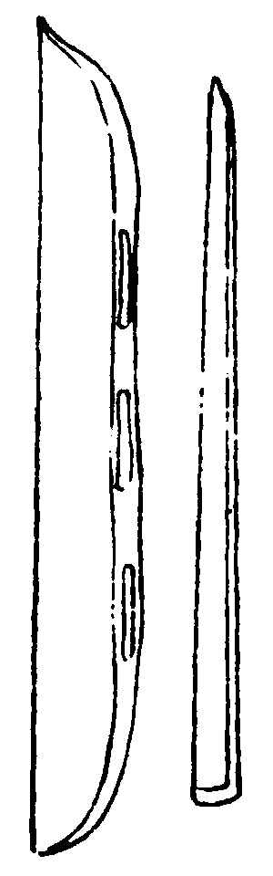 〔插图〕
