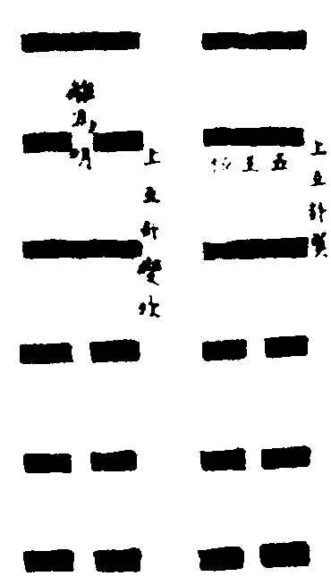 〔插图〕