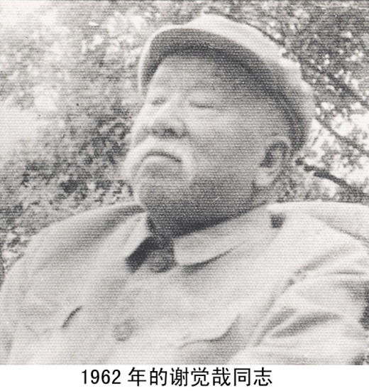 谢觉哉影像与手迹