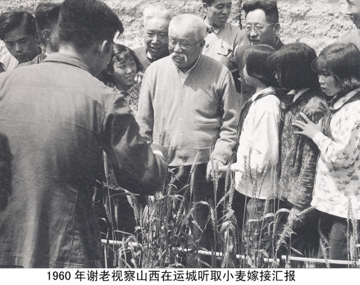谢觉哉影像与手迹