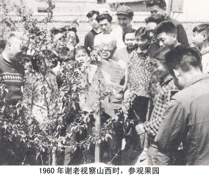 谢觉哉影像与手迹