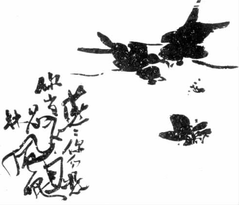 志摩日记